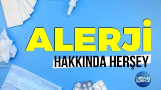 Alerji Hakkında Her şey | Popular Science Türkiye