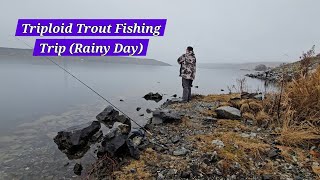 Triploid Trout Fishing Trip (Rainy Day)