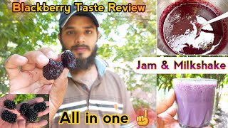 Blackberry Jam | Black Berry Taste Test & Recipes | Different Kinds Of Berries