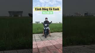 CÁNH ĐỒNG CỎ XANH KHU CNC Q9