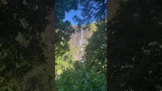 Wairere Falls Look Out 🇳🇿