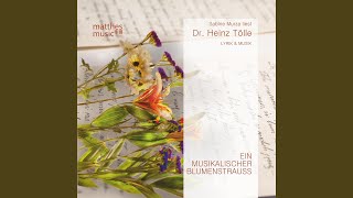 Bonustrack: Die Schönste aller Blumen - Gemafreie Klaviermusik aus (Hintergrundmusik: Vol. 1)