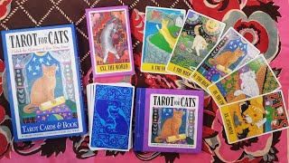 Tarot for Cats 🐈