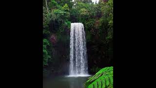 Chasing Waterfalls Milla Milla waterfall QLD Australia Series:Inspiring people to explore the world🌏