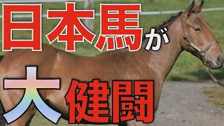 「日本馬は近年ほど強い馬がいない。攻めるなら今年」ゴリアットの馬主がジャパンＣ参戦を語る（日刊スポーツ）