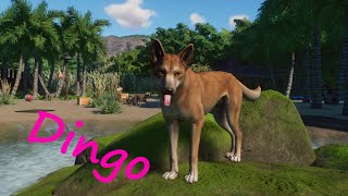 Dingo - Tzula Zoo - Planet Zoo