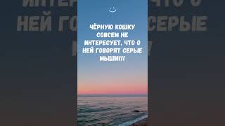 ЧЕРНУЮ КОШКУ СОВСЕМ НЕ ИНТЕРЕСУЕТ... | Мудрые Цитаты | #shorts