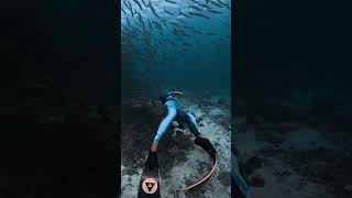 Freedive Secrets Revealed: Dive Deeper, Stay Longer!