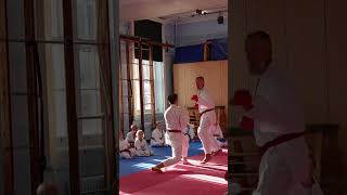 Kumite Drill from Squad Kumite Training with our athletes