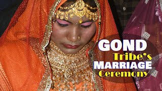 GOND Tribe || Tribal Marriage Ceremony || Gondi Tribe in Central India || Kanha, Madhyapradesh