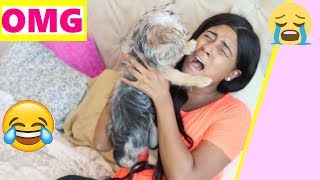 Funny Dog Reaction to me Crying PRANK (CUTE REACTION )