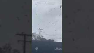 Tornado 🌪️ possibly touches east downtown of LA