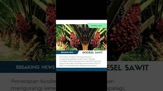 Penurunan impor solar ini terjadi seiring meningkatnya komposisi biodiesel yang telah dimulai 2009