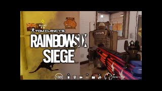 BEST COMMUNICATION & TEAMWORK - RAINBOW SIX SIEGE (R6S) HIGHLIGHTS