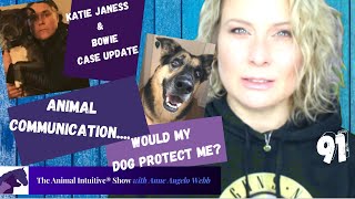 Animal Communication My German Shepherd Defends Me?🐾Katie Janness Case Update💙