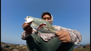 A Massive Predator Left Its Mark! Day 3 Low Tide Fishing