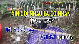 Tâm sự người phế binh - Nhạc chế cực hay - Xin gọi nhau là cố nhân - Nhạc chế Bài số 31 - KARAOKE HD