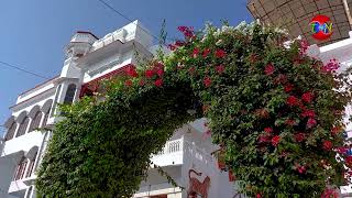 Way To The Lake From Dwarkadhish Temple ! THE NATURE