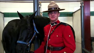 Musical Ride visiting Saskatchewan