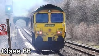 Class 66 Freightliner Loco 66605 - Bamford Station, Derbyshire