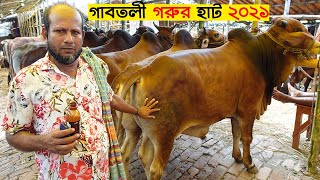 qurbani eid 2021: Big size cow price in bangladesh ! Gabtoli Gorur Hat 2021