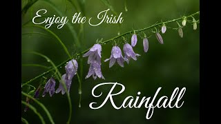 Relaxing Sounds of Irish Rain