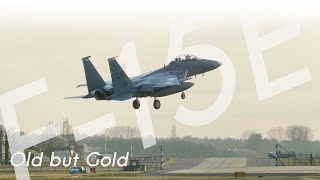 "MUD HEN" // F-15E landing at RAF Lakenheath