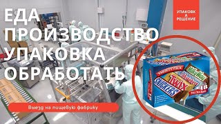 ПИЩЕВАЯ УПАКОВОЧНАЯ МАШИНА | Как пищевые фабрики массово производят и упаковывают продукты?