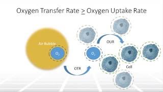 The Impact of Aeration on Cell Culture in Bioreactors, Part 1 – Two Minute Tuesday Video