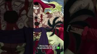 Theo bạn đâu là chết buồn nhất trong One Piece