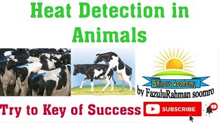 Heat detection in Urdu/hindi- Shiners Academy by Fazulurahman soomro