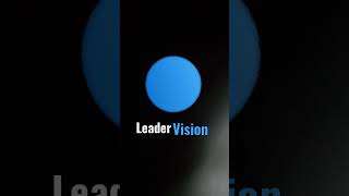 Leader Vision Logo