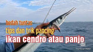 cara merangkai pancing ikan cendro atau panjo || di jamin jossss