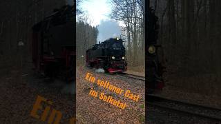 99 7241-5 im Selketal HSB Harzer Schmalspurbahnen