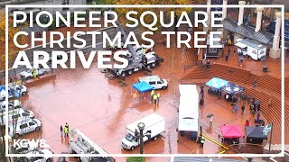 Watch now: Christmas tree arrives at Pioneer Courthouse Square