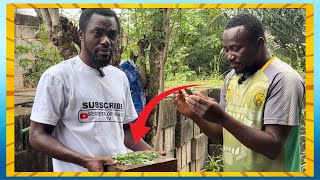 Really??🔥🔥you will be sh0cked to know what the leaves of this plant did to this 👉man