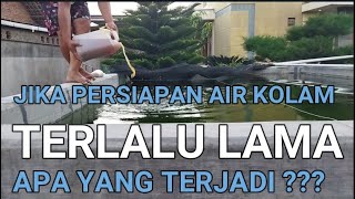 PERSIAPAN KOLAM SEBELUM TEBAR BENIH GURAME - BUDIDAYA IKAN GURAME