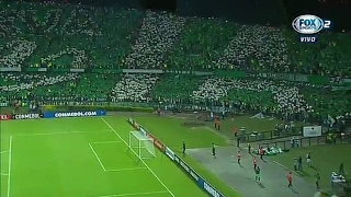 HERMOSO MOSAICO DE LA MEJOR HINCHADA DEL PAÍS.