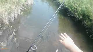 Walleye and Musky Fishing