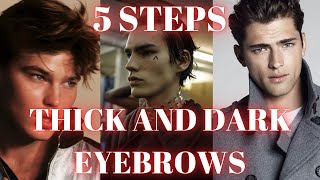 How To Get Denser and Thick Eyebrows | 5 Steps