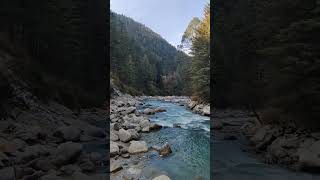 This Sound #love #nature #relaxing #satisfactory #shots #youtubeshorts #satisfyingvideos #mindrelax