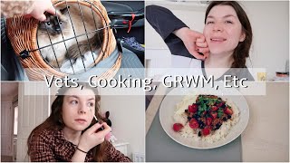 Maisie goes to the vets, Mini GRWM, Cooking Hellofresh and the Rain is Orange??! | Chilled Vlog