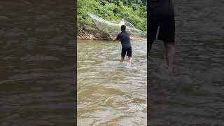 Net fishing..!!#catchingfish #tradisionalfishing #fishing #fishingskills