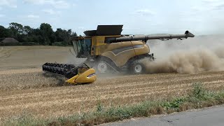 Harvest 2024 - New Holland CR9.90 Harvesting Dusty Wheat