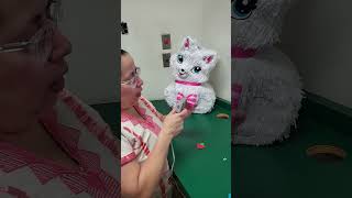 asi quedo terminada la piñata gatita