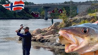 Риболовля в Норвегії 🇳🇴 Скумбрія, Форель, Тріска. Серія 10.