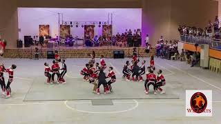 LNNCHS (WILDCATS) 2024 (CHAMPION) - TUDNACOHS Invitational Cheerdance Competition 2024 (CLEAN MIX)