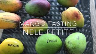 Tasting the Nelepetite Mango - Nele Petite