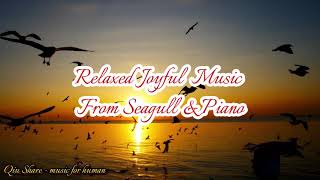 Relaxed joyful music from seagull with piano /relax, joy, good spirit.