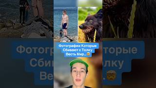 Фотографии Которые Сбивают с Толку Весь Мир…🤯 #shorts #фото #животные #собака